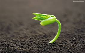 Don’t give up